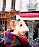Mr Vouzemoi