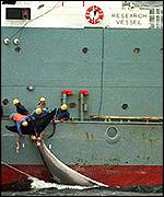 Japanese whaler