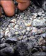 Coltan TVE