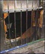 Barred window