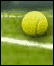 Our daily diary from Wimbledon