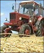Tractor on the Sinkova farm