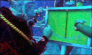 Divers generic