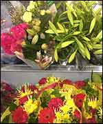 Flowers (BBC)