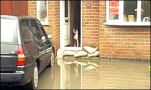 Dog and sandbags