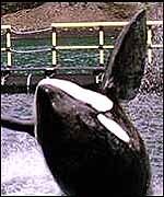 Keiko