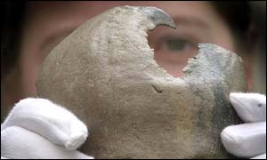 The piece of skull