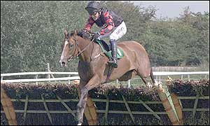 Tony McCoy