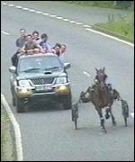 Trotting race