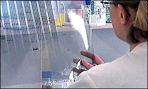 Lab (BBC)