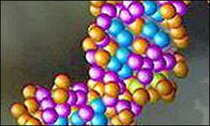 DNA