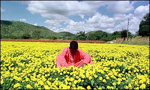 White-owned farm