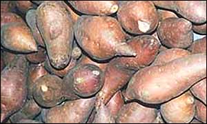 yams