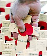 Field of crosses