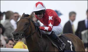 Rock of Gibraltar wins the Prix du Moulin, his seventh Group One on the trot