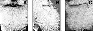 A. George Bernard Shaw, B. Charles Darwin, C. Buster (Uncle Albert) Merryfield 