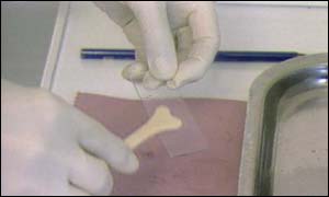 Smear 