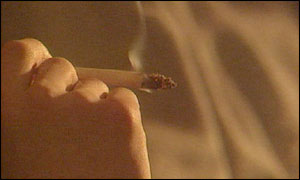 Cannabis