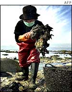 Beach clean-up