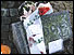 Floral tribute left at Kircudbright harbour