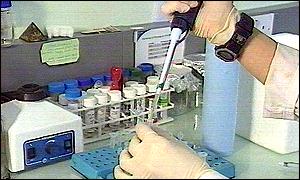 Laboratory work