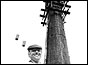 A cat is refusing to come down from a chimney holding up steeplekjack Fred Dibnah's work
