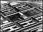 Maze Prison