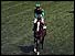 Shergar