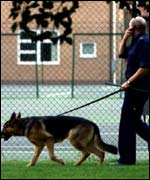 Sniffer dog