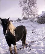 County Antrim