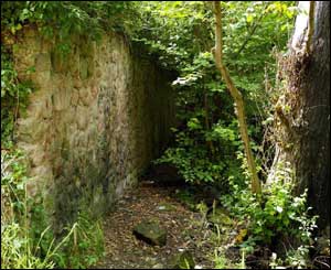 secluded path