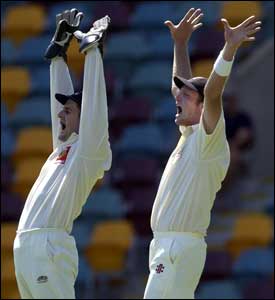 Victoria's Peter Roach and Cameron White celebrate a wicket during the Pura Cup match against the Queensland Bulls