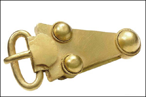 Gold belt buckle