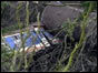 Coaches lie on an embankment