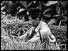 Soldier hiding in rubber plantation