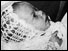Baby Azaria Chamberlain