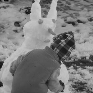 Snow rabbit