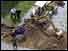 Investigators dig for clues to disappearance of Jimmy Hoffa