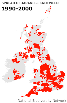 1990-2000