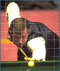 Steve Davis
