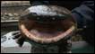 Salamandra gigante