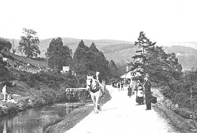 Horse pulling the canal boat