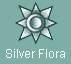 Silver Flora Medal