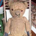 'Fred Bear' in 2005, a survivor!