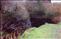 The Shannon Pot, source of the river Shannon
