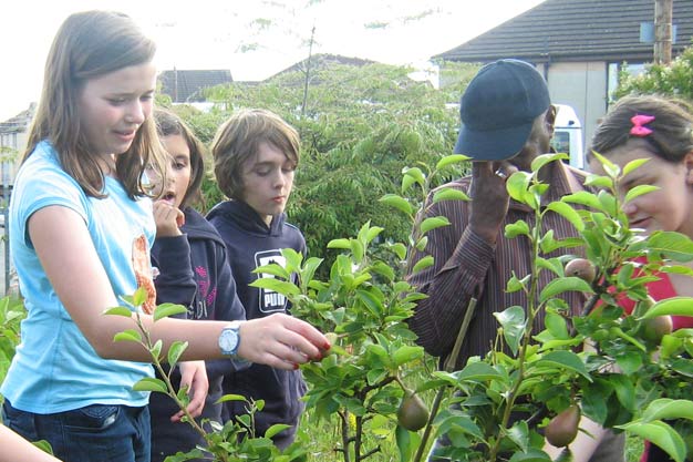 Harvest at Hamiltonhill