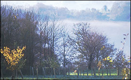 Misty country scene - Photo by B.Morgan