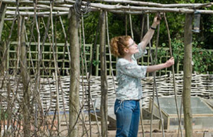 Pergolas are useful for adding height to the garden