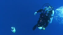 Diver watching an argo float descend in the distance
