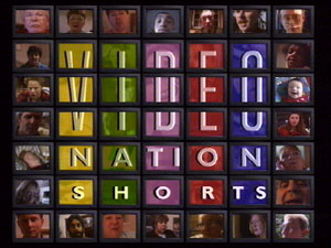 The Birth of Video Nation